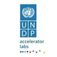 undp accelerator labs