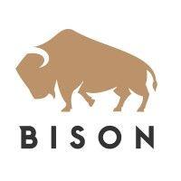 bison analytics logo image