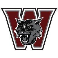 wayne wildcats football and cheer logo image