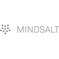 mindsalt logo image