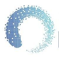 blue ring investors logo image