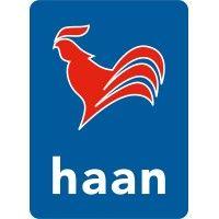 de haan tankstations logo image