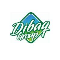 dibaq group logo image