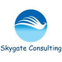 skygate consulting logo image