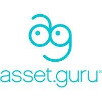 asset.guru logo image