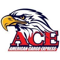 ace usa & canada logo image