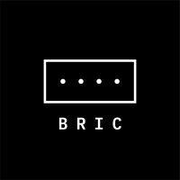 bric foundation logo image