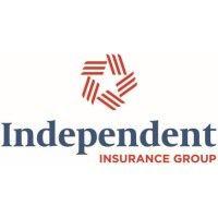 independent insurance group logo image