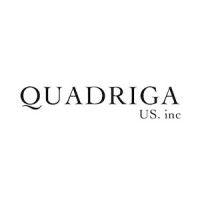 quadriga management logo image