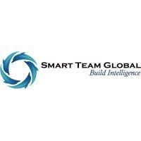 smart team global, llc logo image