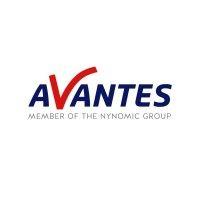 avantes logo image