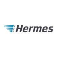 hermes russia logo image