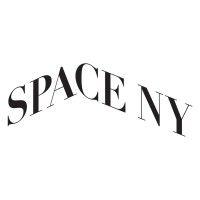 space ny consulting logo image