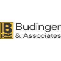 budinger & associates, inc. logo image