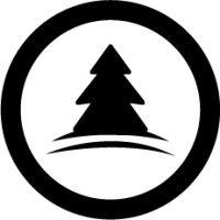 black pine tech logo image