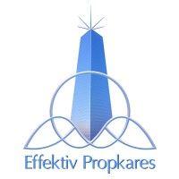 effektiv propkares india llp logo image