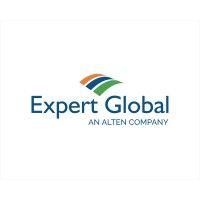 expert global group logo image