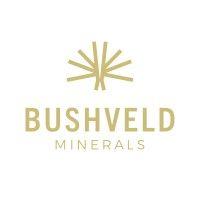 bushveld minerals logo image