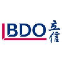 bdo china-shu lun pan certified public accountants llp