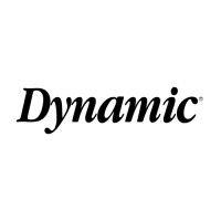 dynamic 3.0 logo image