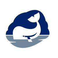 whale logo image