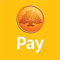 swedbank pay logo image