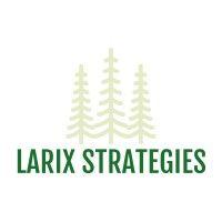 larix strategies logo image