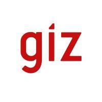 giz ghana logo image