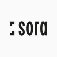 sora logo image