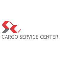 delhi cargo service center pvt. ltd. logo image