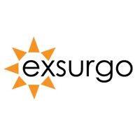 exsurgo logo image