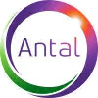 antal infotech private limited logo image