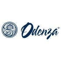 odenza marketing group inc logo image