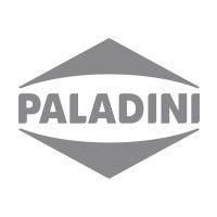 paladini s.a. logo image