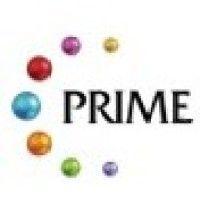 prime atlantic group ltd logo image