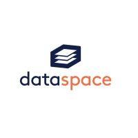 dataspace nederland bv logo image