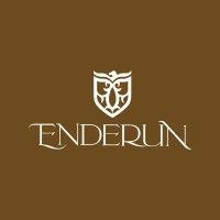 enderun colleges logo image