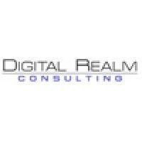 digital realm consulting logo image