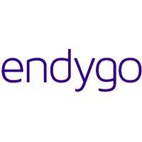 endygo logo image