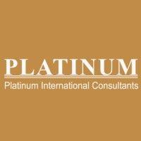 platinum international consultants logo image