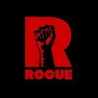 rogue games, inc. logo image