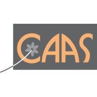 caas ltd logo image