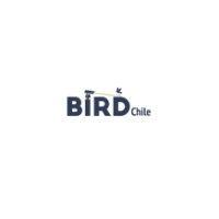 birdchile logo image