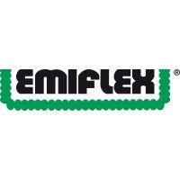 emiflex spa logo image