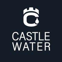 castle water logo image