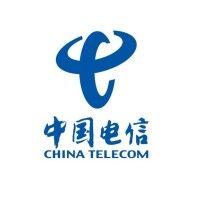 china telecom (africa and middle east) ltd logo image