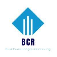 blue consulting & resourcing