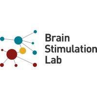 stanford brain stimulation lab logo image