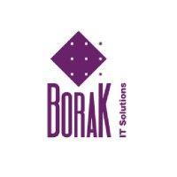 borak logo image