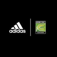 coerver coaching leinster logo image